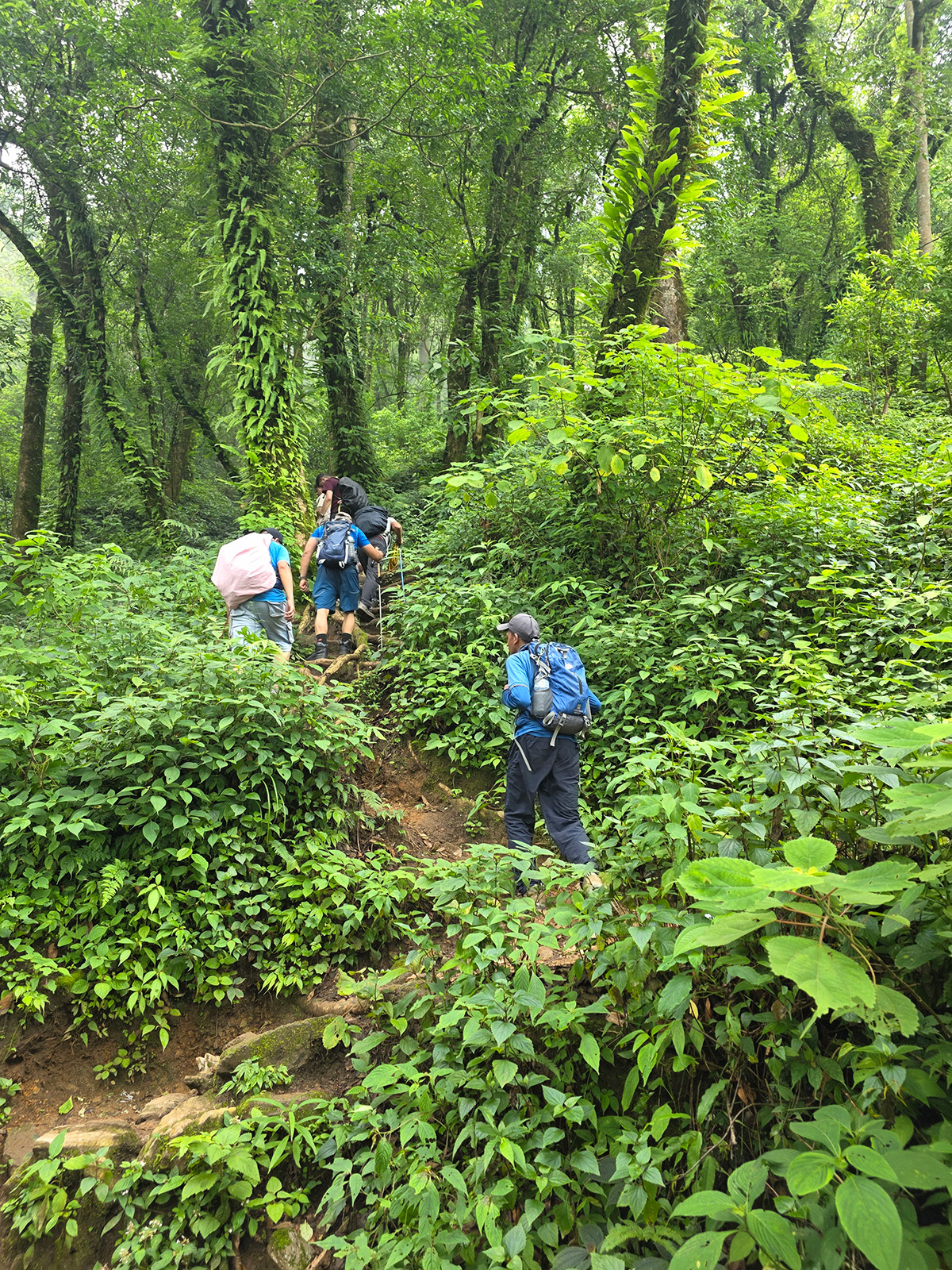 लट्टारम्भेश्वर