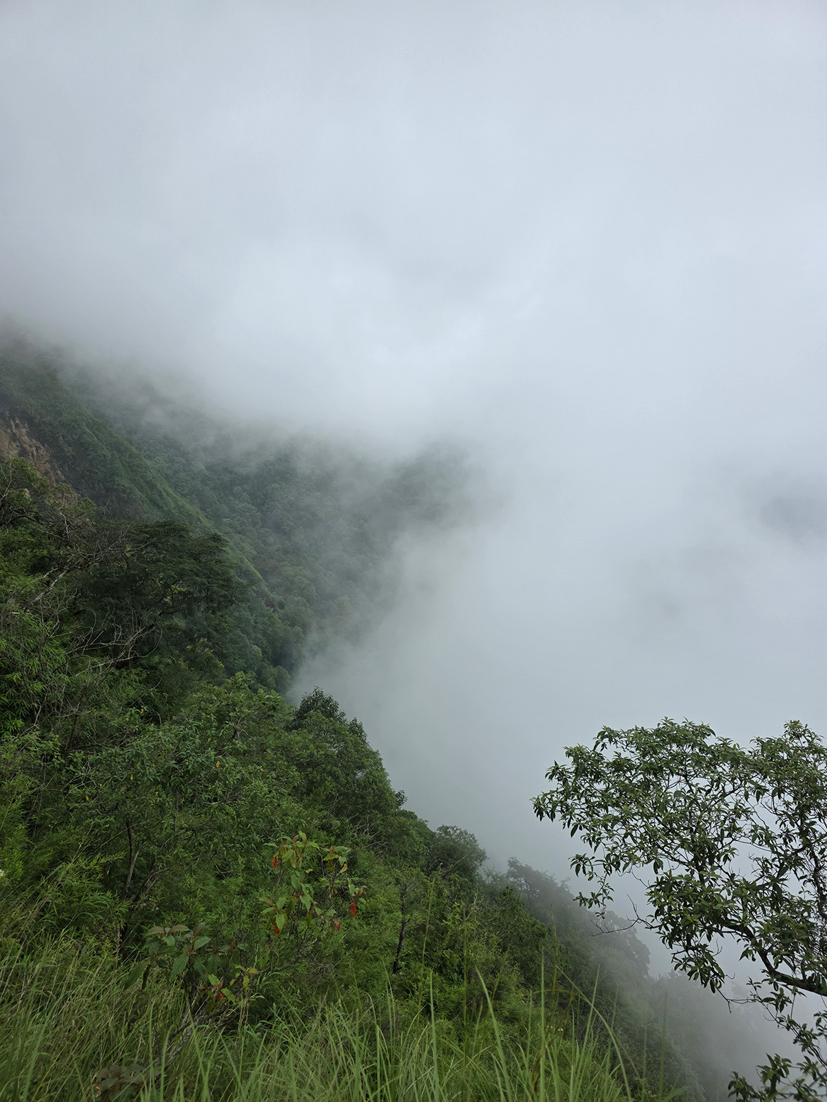 लट्टारम्भेश्वर