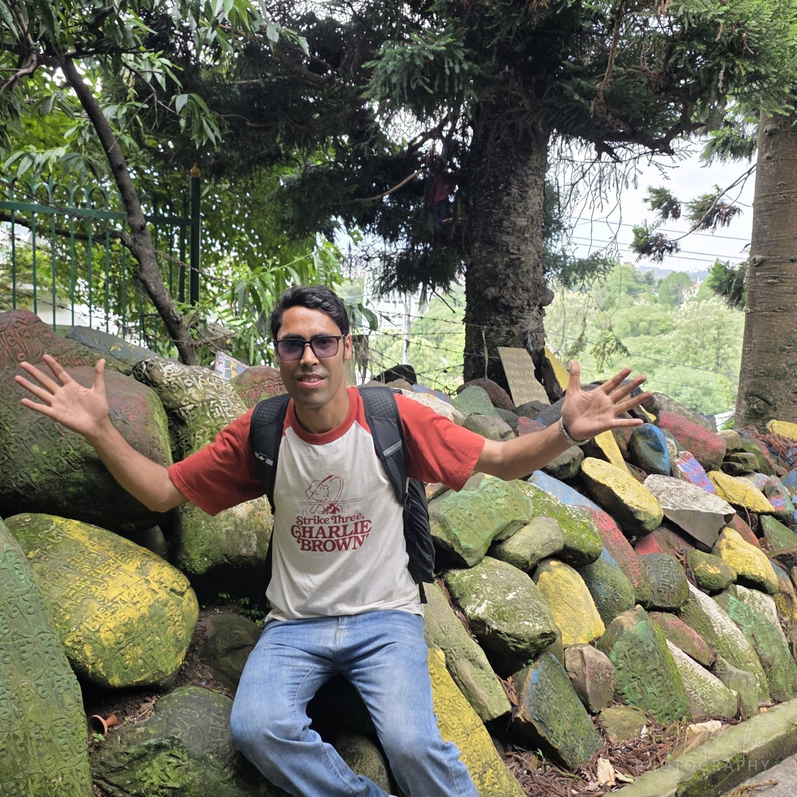 Travel Diaries